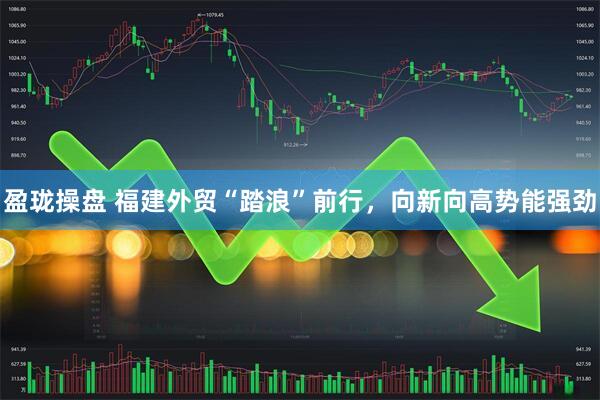 盈珑操盘 福建外贸“踏浪”前行，向新向高势能强劲