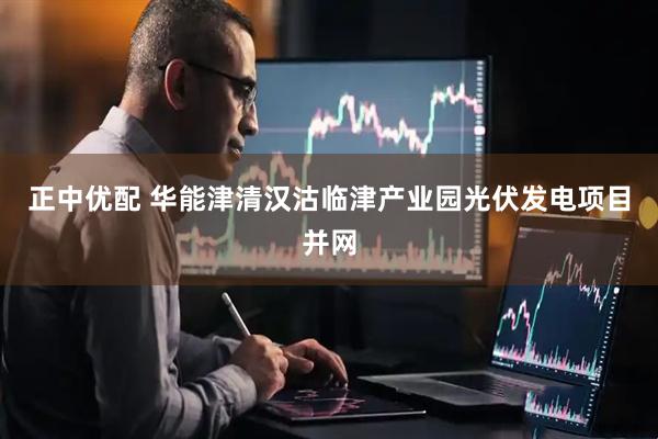 正中优配 华能津清汉沽临津产业园光伏发电项目并网