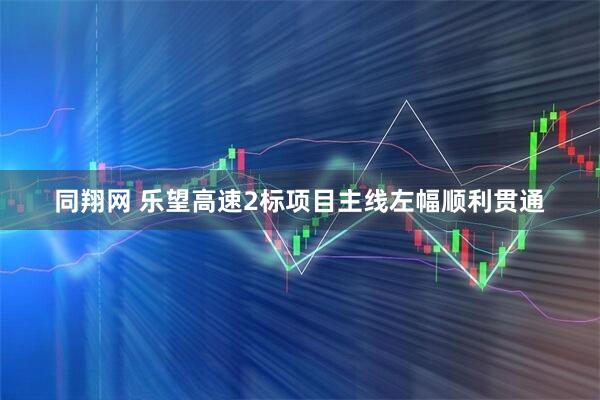 同翔网 乐望高速2标项目主线左幅顺利贯通