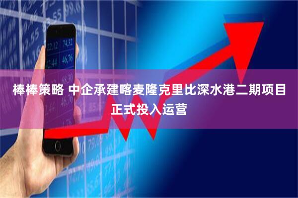 棒棒策略 中企承建喀麦隆克里比深水港二期项目正式投入运营