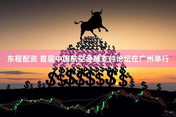 东程配资 首届中国航空金融支付论坛在广州举行