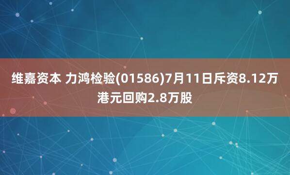 维嘉资本 力鸿检验(01586)7月11日斥资8.12万港元回购2.8万股