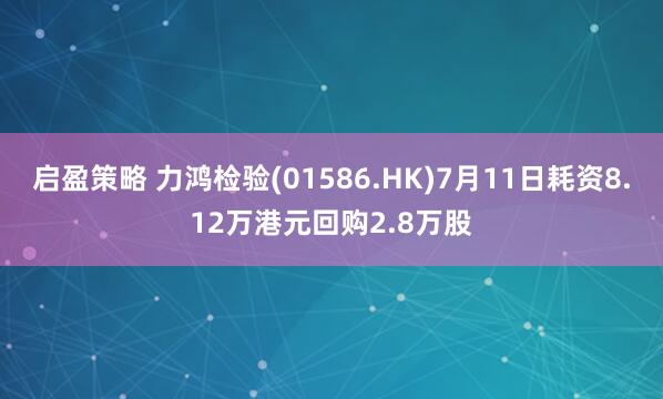 启盈策略 力鸿检验(01586.HK)7月11日耗资8.12万港元回购2.8万股