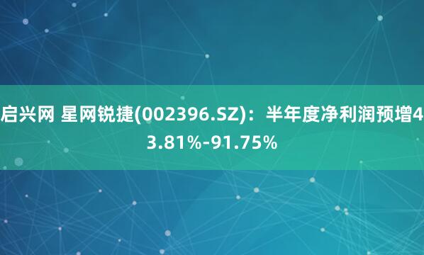 启兴网 星网锐捷(002396.SZ)：半年度净利润预增43.81%-91.75%