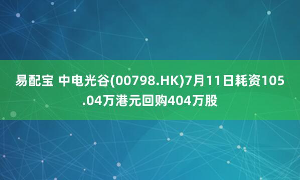 易配宝 中电光谷(00798.HK)7月11日耗资105.04万港元回购404万股