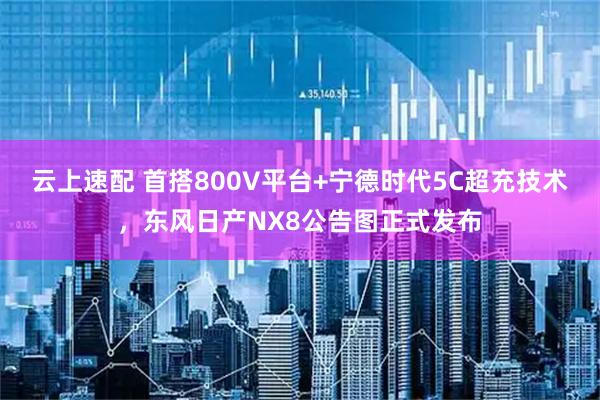 云上速配 首搭800V平台+宁德时代5C超充技术，东风日产NX8公告图正式发布