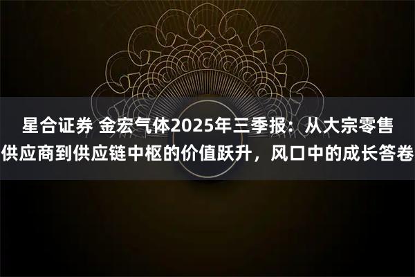 星合证券 金宏气体2025年三季报:从大宗零售供应商到供应链中枢的价值跃升,风口中的成长答卷
