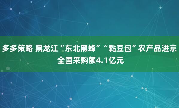 多多策略 黑龙江“东北黑蜂”“黏豆包”农产品进京 全国采购额4.1亿元