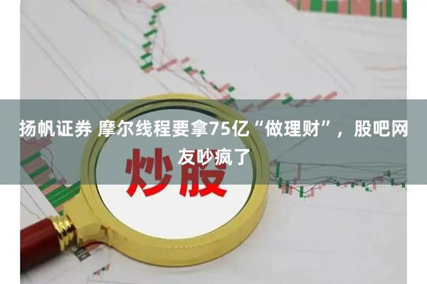 扬帆证券 摩尔线程要拿75亿“做理财”,股吧网友吵疯了