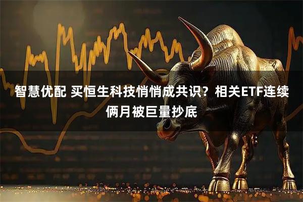 智慧优配 买恒生科技悄悄成共识?相关ETF连续俩月被巨量抄底