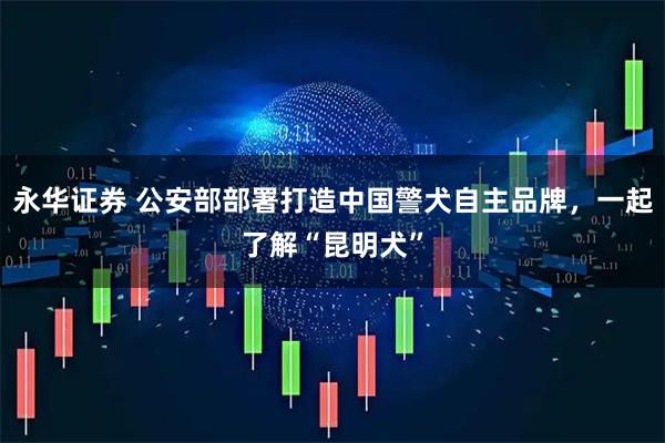 永华证券 公安部部署打造中国警犬自主品牌,一起了解“昆明犬”