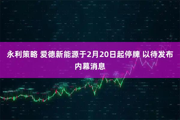 永利策略 爱德新能源于2月20日起停牌 以待发布内幕消息